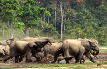 Luang Prabang y Vida Salvaje en Familia